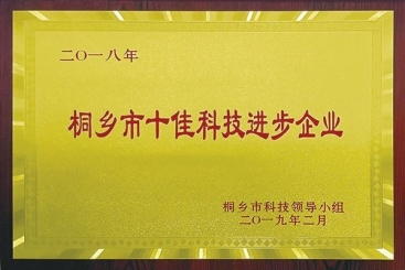 尊龙凯时人生就是搏集团荣获2018年桐乡市十佳科技进步企业